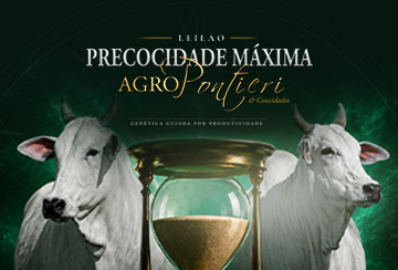 LEILÃO PRECOCIDADE MÁXIMA AGROPONTIERI & CONVIDADOS